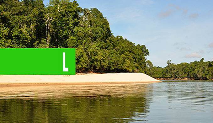 PARCERIA ENTRE EMATER-RO E RIOTERRA FORTALECERÁ POLÍTICA DE REGULARIZAÇÃO AMBIENTAL EM RONDÔNIA - News Rondônia