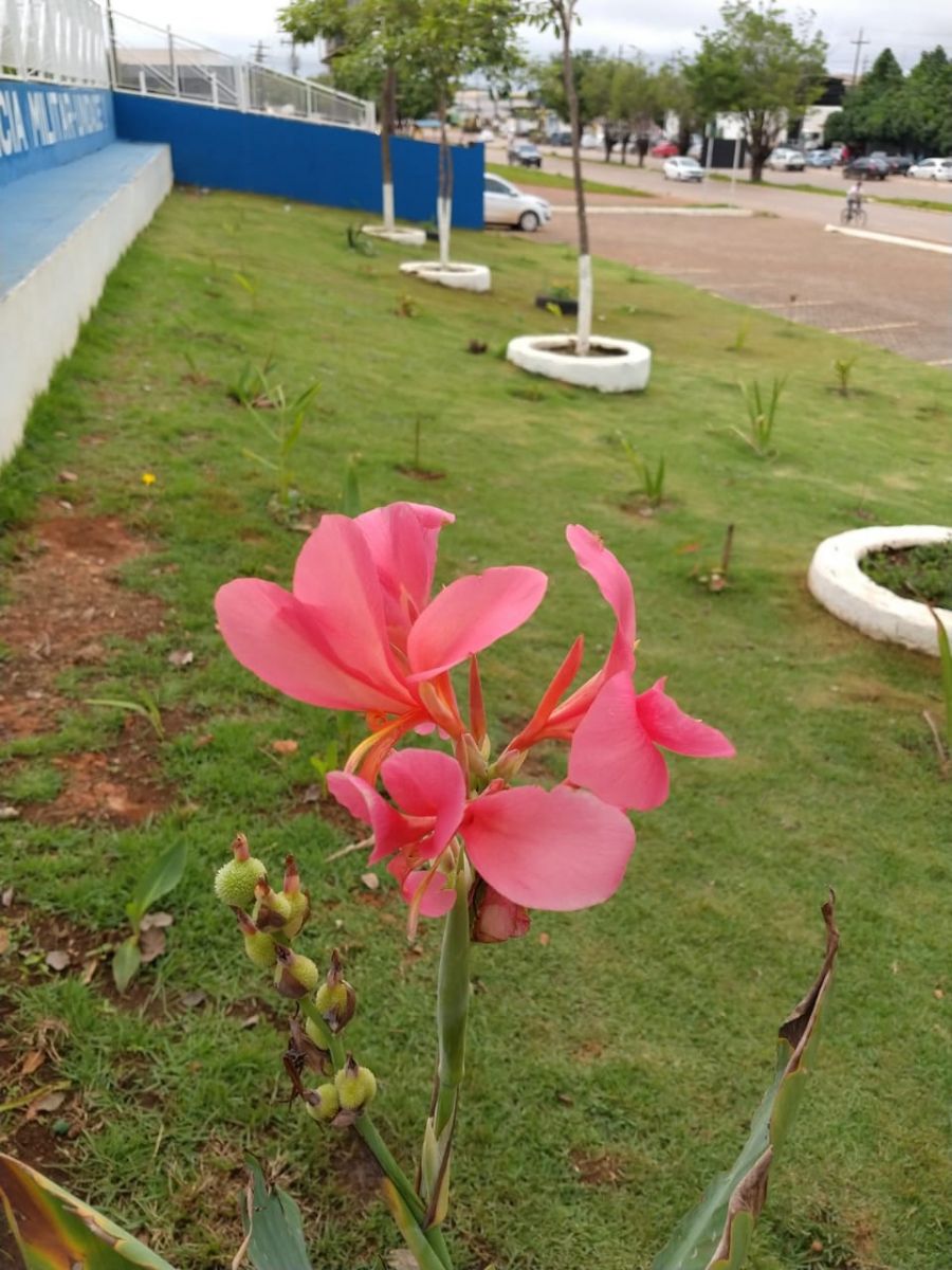 PROJETO DE RESSOCIALIZAÇÃO EM PIMENTA BUENO É RECONHECIDO PELO PODER JUDICIÁRIO - News Rondônia