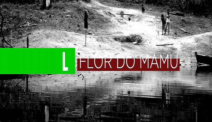 Memórias póstumas da Flor do Mamu - Por Marquelino Santana - News Rondônia