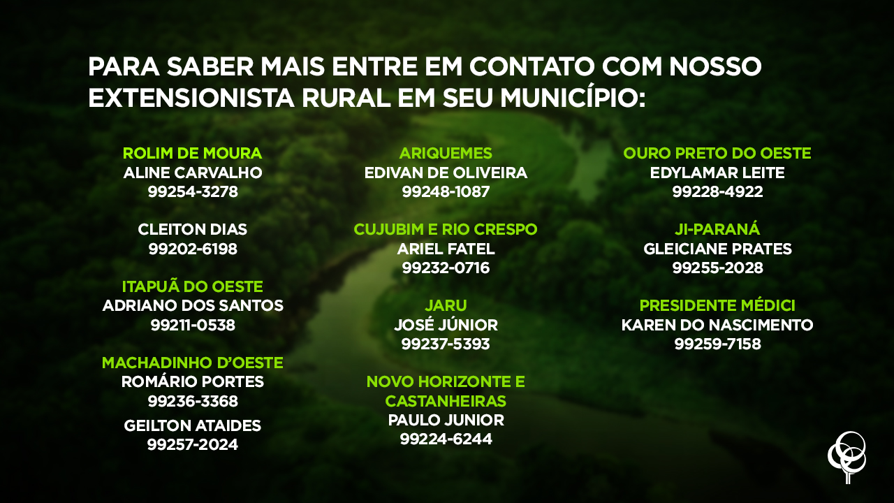 Meio Ambiente: Vamos reflorestar 1.300 hectares de áreas alteradas na Amazônia em 2021? - News Rondônia