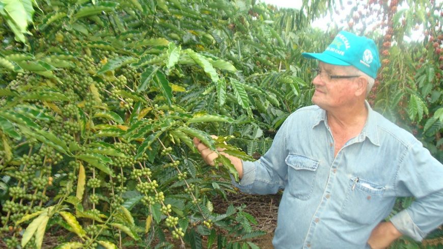 NOVEMBRO AZUL - Produtores rurais são conduzidos pela Emater a realizar exame preventivo de câncer de próstata em Ji-Paraná - News Rondônia