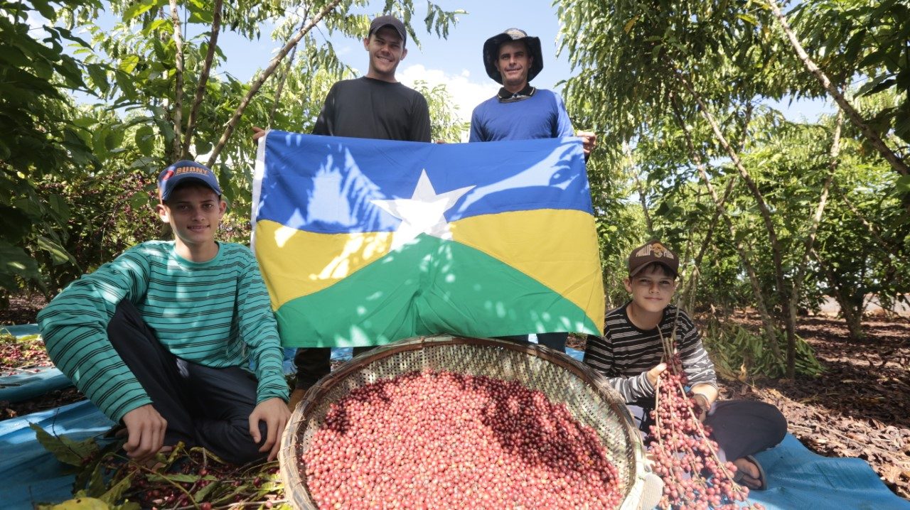 GOVERNO ENTREGA MUDAS DE CAFÉ ROBUSTA PARA 44 MUNICÍPIOS DE RONDÔNIA - News Rondônia