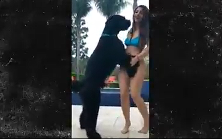 MODELO É PROCESSADA POR DEIXAR CACHORRO EXCITADO; VEJA VÍDEO - News Rondônia