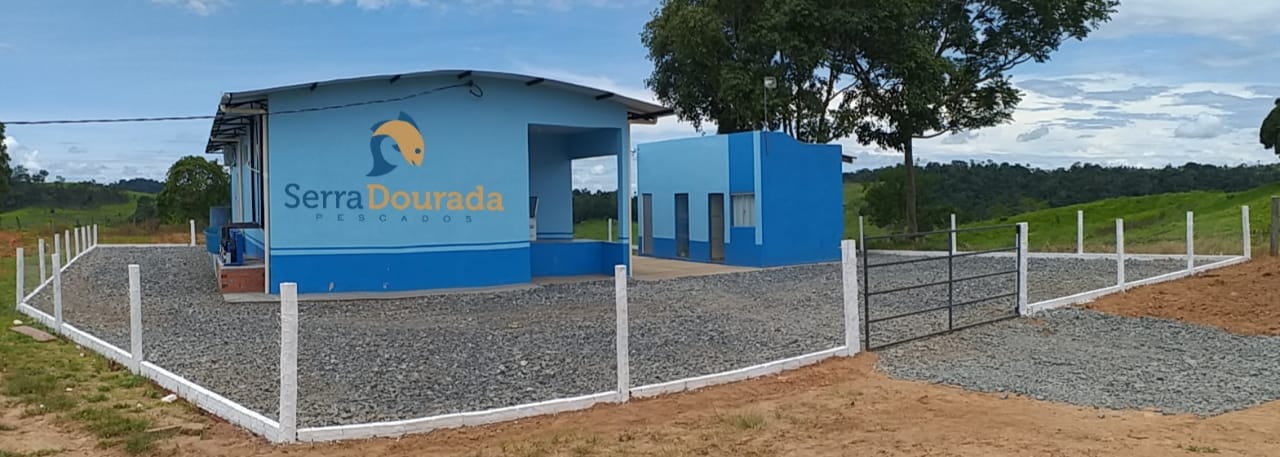 SEBRAE CONTINUA ATENDIMENTO TECNOLÓGICO DURANTE A PANDEMIA - News Rondônia