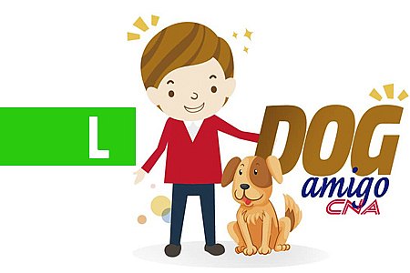 PROJETO DOG AMIGO DO CNA ARRECADA RAÇÃO PARA CÃES DE RUA - News Rondônia