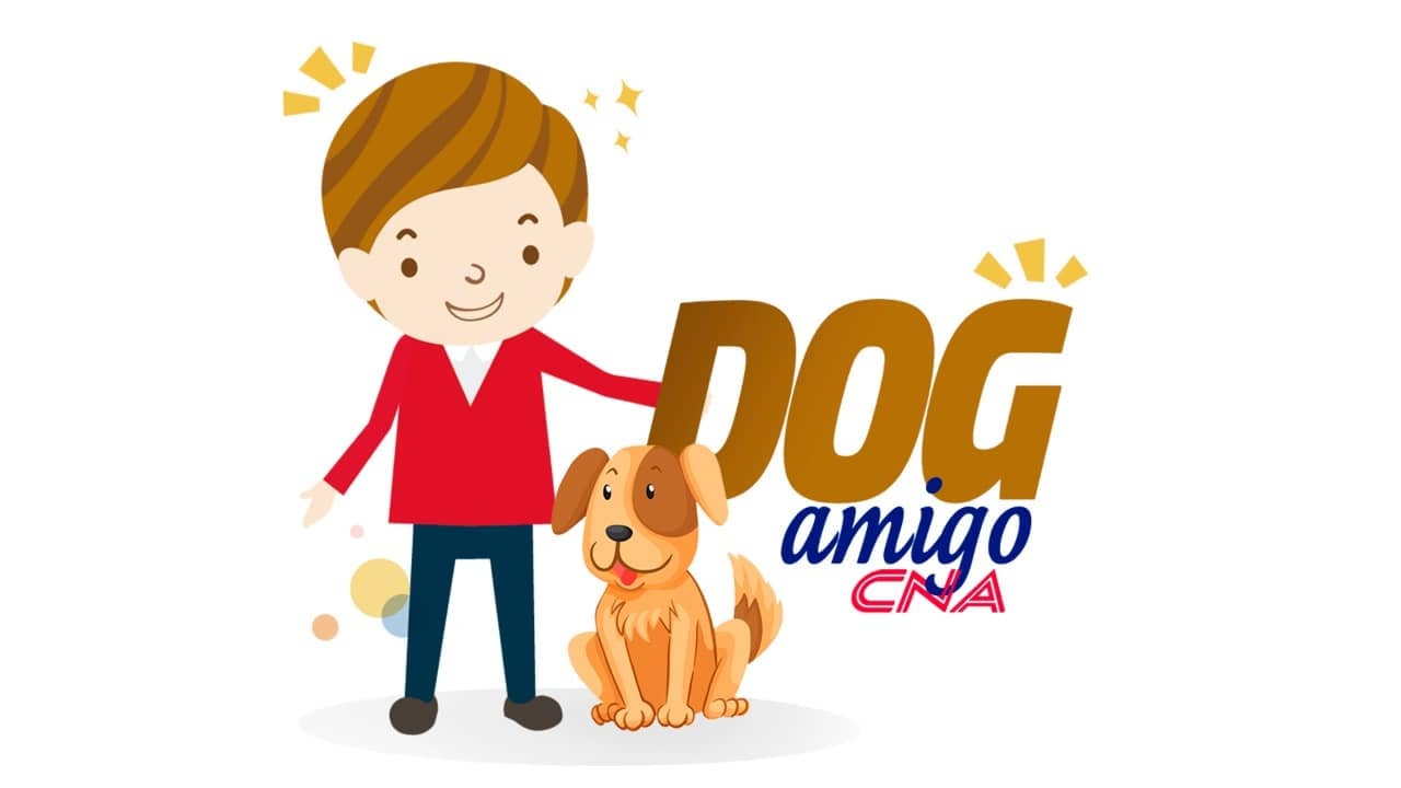 PROJETO DOG AMIGO DO CNA ARRECADA RAÇÃO PARA CÃES DE RUA - News Rondônia