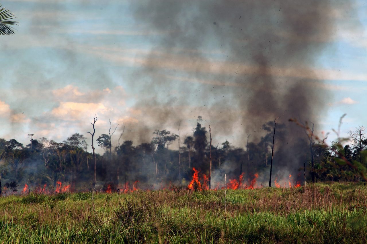 TERMO DE COOPERAÇÃO ESTABELECE MONITORAMENTO E FISCALIZAÇÃO DE DESMATAMENTO E INCÊNDIOS FLORESTAIS EM RONDÔNIA - News Rondônia