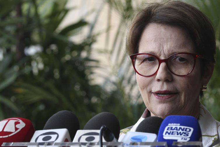 FUTURA MINISTRA DA AGRICULTURA PRETENDE MANTER 'BOA RELAÇÃO' COM MMA - News Rondônia