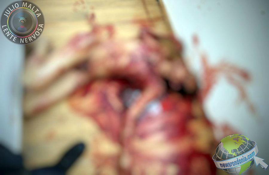 ATUALIZADA - AGENTES DA HOMICÍDIOS PRENDEM JOVEM QUE ASSASSINOU HOMOSSEXUAL COM 25 FACADAS  VÍDEO - News Rondônia