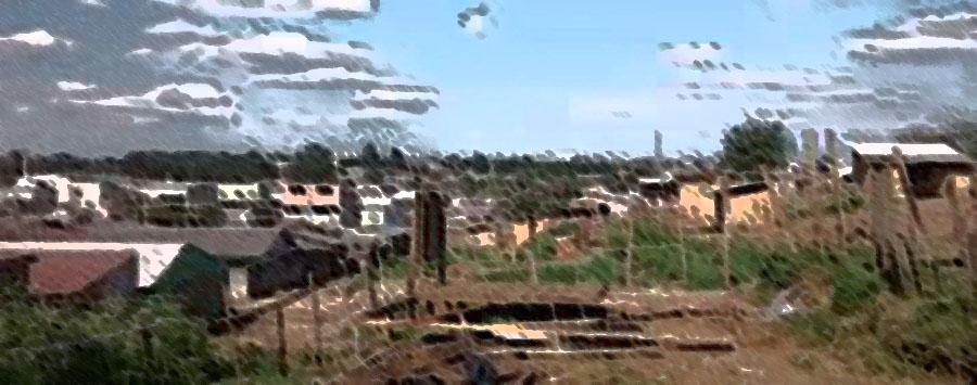 POLÍTICA & MURUPI: CAÇANDO BRUXAS - News Rondônia