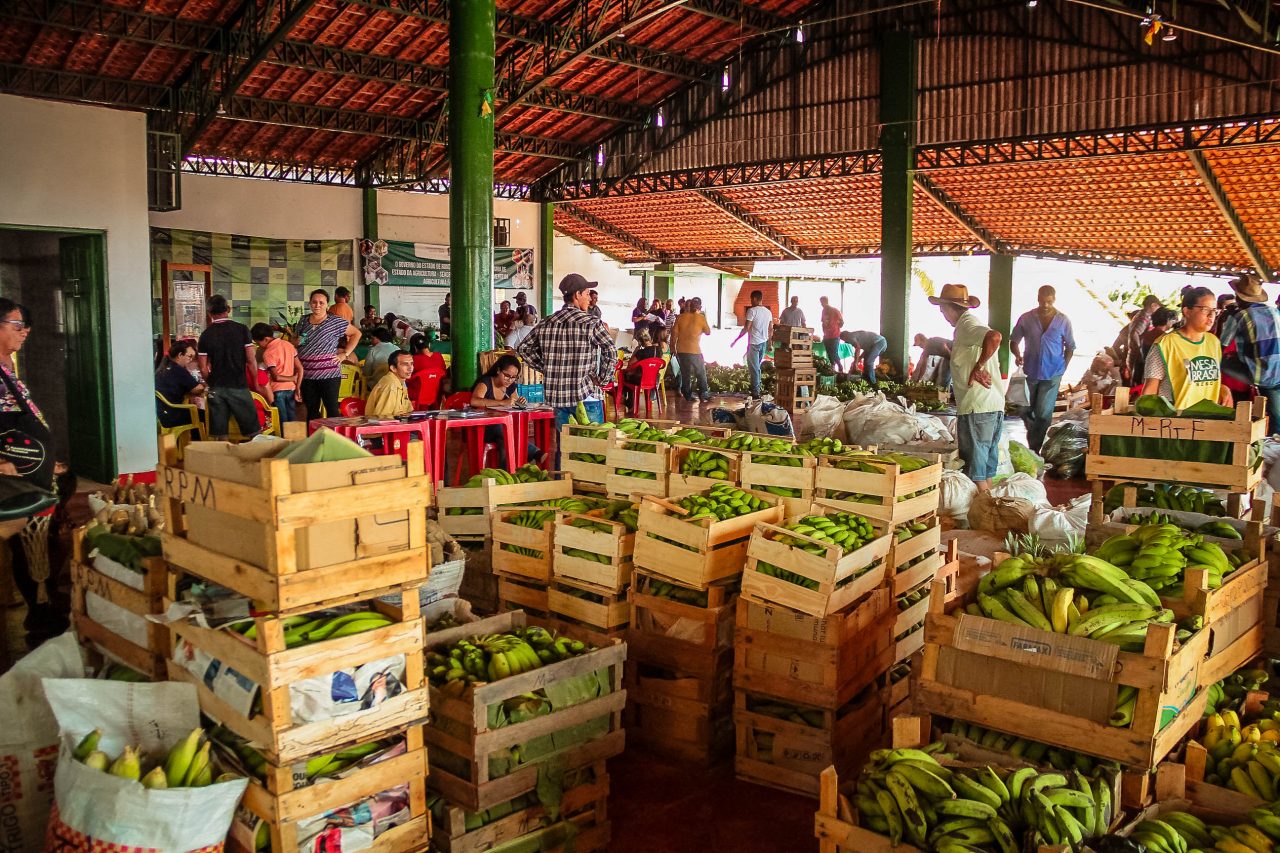 MICRO PRODUTOR - PEQUENOS AGRICULTORES DE RONDÔNIA RECEBEM APOIO NA COMERCIALIZAÇÃO DA PRODUÇÃO EM RONDÔNIA - News Rondônia