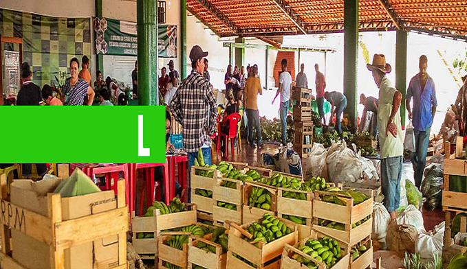 MICRO PRODUTOR - PEQUENOS AGRICULTORES DE RONDÔNIA RECEBEM APOIO NA COMERCIALIZAÇÃO DA PRODUÇÃO EM RONDÔNIA - News Rondônia