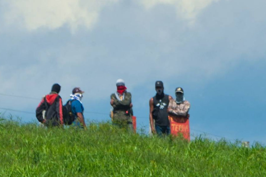 Em visita a fazenda invadida em Chupinguaia, FOLHA registra destruição, animais abatidos e clima tenso entre policiais e LCP - News Rondônia
