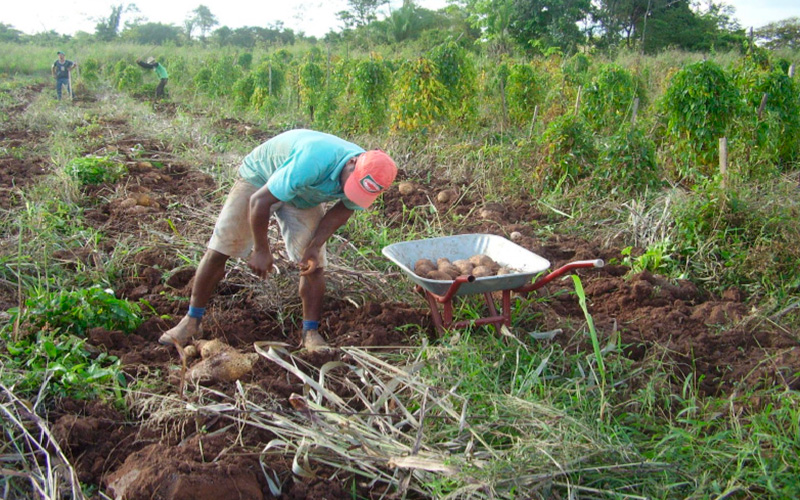 FAMÍLIAS RECEBEM INCENTIVOS PARA FOMENTAR AS ATIVIDADES RURAIS EM CACOAL - News Rondônia