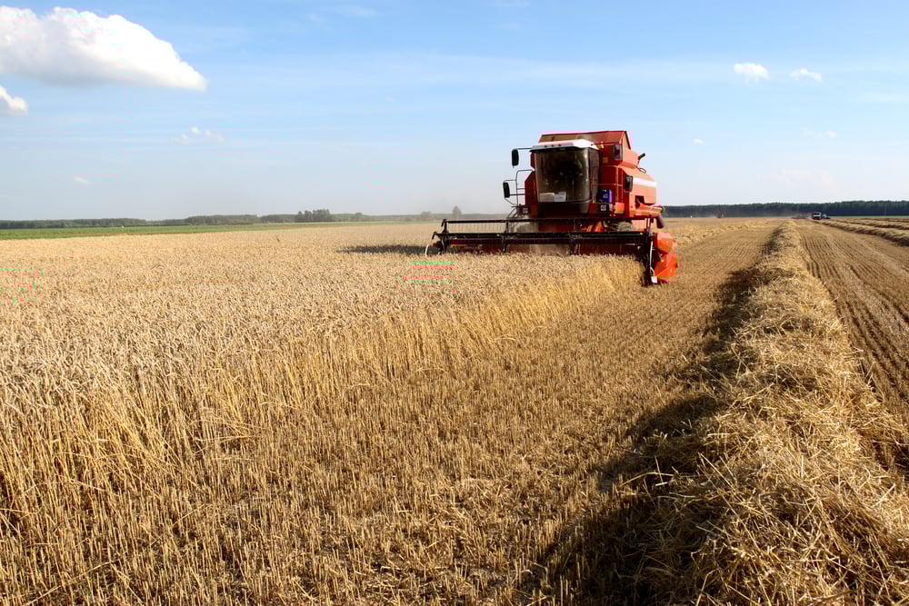 Área tratada com defensivos agrícolas cresceu 12,3% no segundo trimestre. Devido à safrinha, participação do milho dobrou no período - News Rondônia