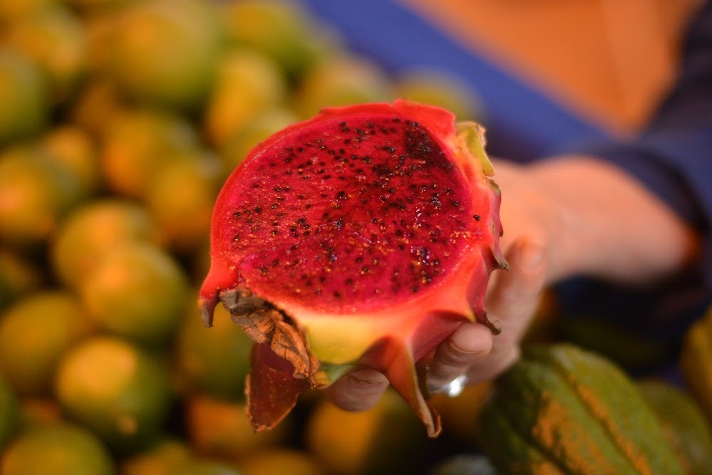 AGRICULTORES E AGROINDÚSTRIAS COMEMORAM VENDAS NA 1ª FEIRA DO PRODUTOR DE VILHENA - News Rondônia