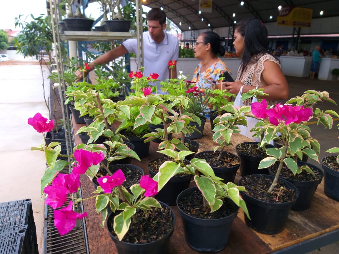 AGRICULTORES E AGROINDÚSTRIAS COMEMORAM VENDAS NA 1ª FEIRA DO PRODUTOR DE VILHENA - News Rondônia