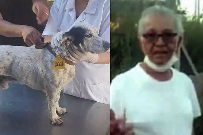 ZOOFILIA - Jovem escuta choro de cachorro e flagra homem abusando do animal - VÍDEO - News Rondônia