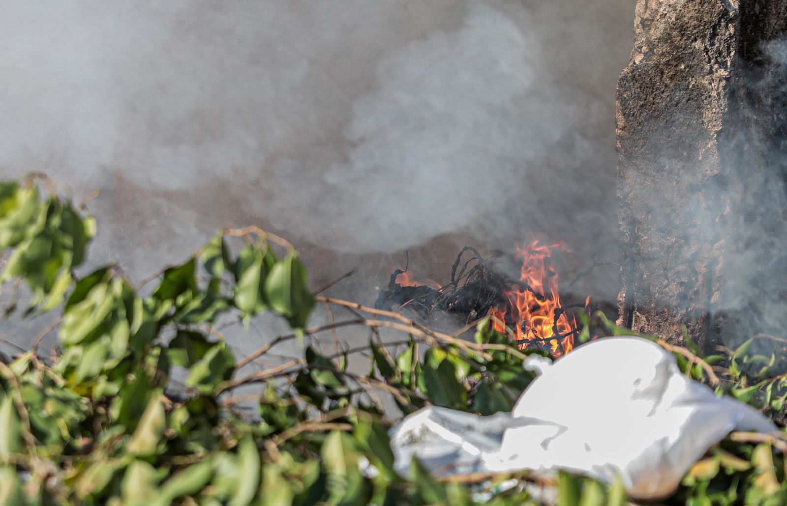 Distritos da capital terão programa de educação ambiental e atendimento social - News Rondônia