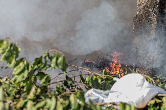 Distritos da capital terão programa de educação ambiental e atendimento social - News Rondônia