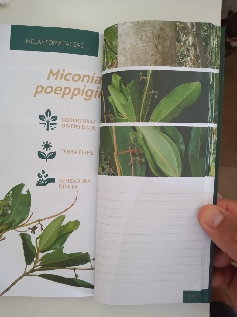 Parceria entre Jirau Energia, Embrapa e Coopprojirau lança guia de plantas para recomposição de áreas de preservação permanente - News Rondônia