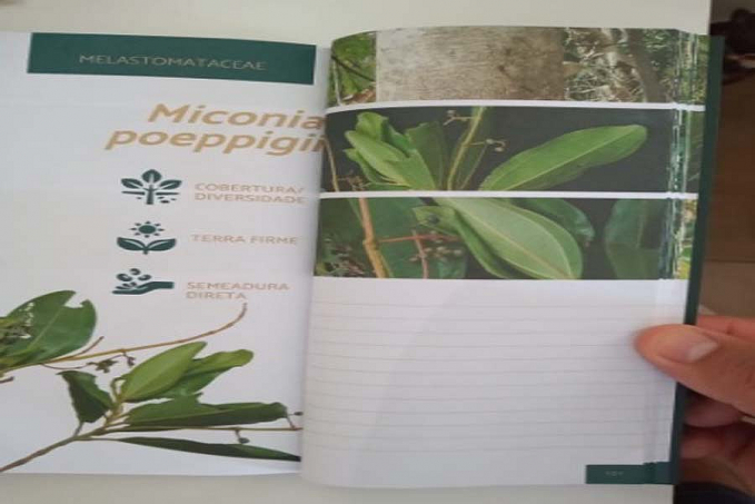 Parceria entre Jirau Energia, Embrapa e Coopprojirau lança guia de plantas para recomposição de áreas de preservação permanente - News Rondônia