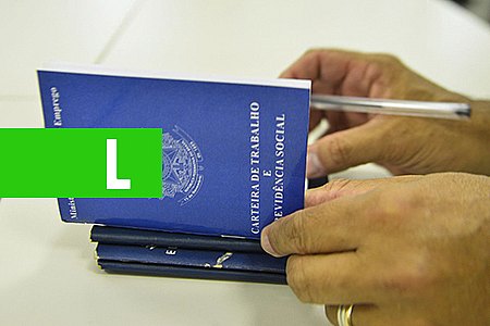 SEGURO-DESEMPREGO PODERÁ SER SOLICITADO PELA INTERNET - News Rondônia