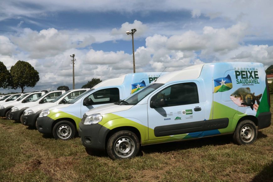 DESENVOLVIMENTO - GOVERNO DE RONDÔNIA FORTALECE AGROPECUÁRIA DO ESTADO COM INVESTIMENTOS NO SETOR - News Rondônia