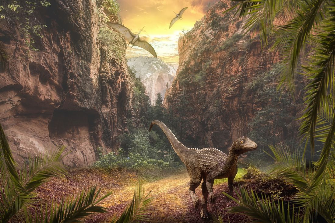 Cientistas descobrem duas novas espécies de dinossauro na China - News Rondônia