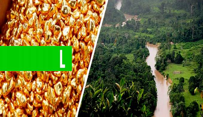 GARIMPEIROS DE RONDÔNIA INVADEM TERRAS NO PARQUE ESTADUAL DE CHANDLESS À PROCURA DE OURO - News Rondônia