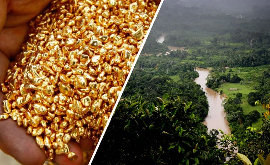 GARIMPEIROS DE RONDÔNIA INVADEM TERRAS NO PARQUE ESTADUAL DE CHANDLESS À PROCURA DE OURO - News Rondônia