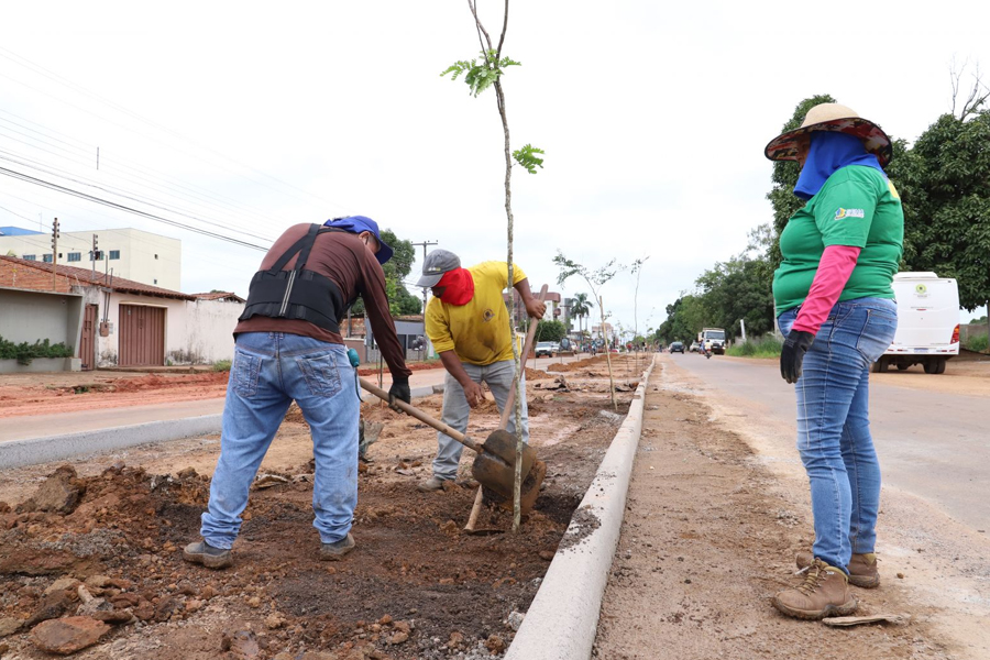 Rua Venezuela recebe projeto de infraestrutura e paisagismo - News Rondônia