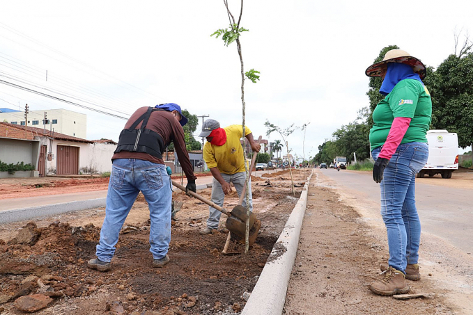 Rua Venezuela recebe projeto de infraestrutura e paisagismo - News Rondônia