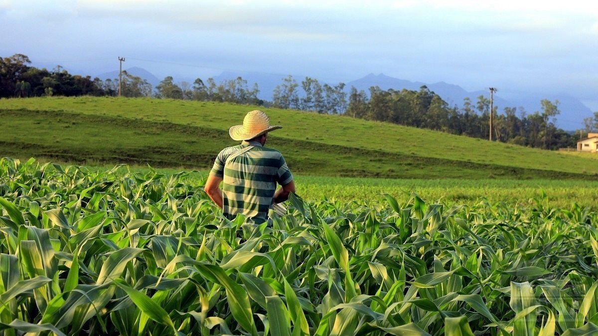 AGRICULTURA FAMILIAR: ESSA É UMA DAS METAS DO GOVERNO MARCOS ROCHA - POR JOSÉ LUIZ ALVES - News Rondônia