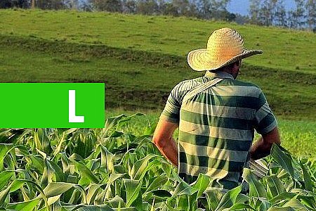 AGRICULTURA FAMILIAR: ESSA É UMA DAS METAS DO GOVERNO MARCOS ROCHA - POR JOSÉ LUIZ ALVES - News Rondônia