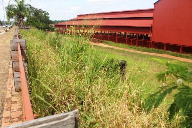 MATAGAL FACILITA ROUBO DE PEÇAS DA E.F.M.M, DIZ CARIOCA - News Rondônia