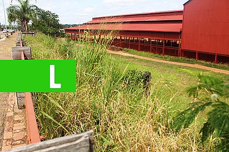 MATAGAL FACILITA ROUBO DE PEÇAS DA E.F.M.M, DIZ CARIOCA - News Rondônia