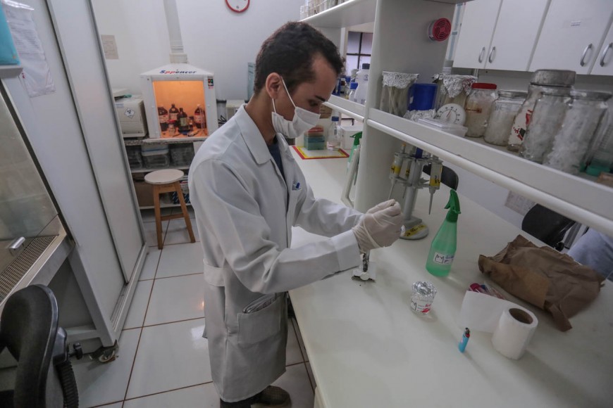 PESQUISAS PROMOVEM AVANÇO NO DESENVOLVIMENTO DA SAÚDE NO ESTADO DE RONDÔNIA - News Rondônia