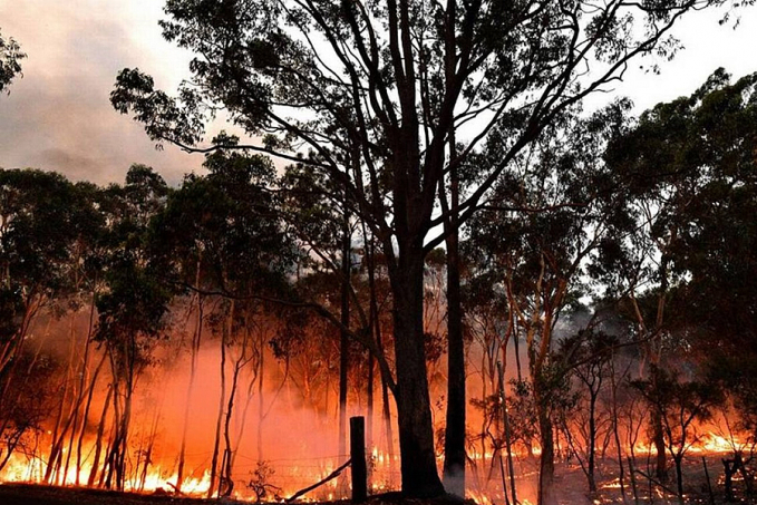 Tempestades, queimadas, frio e calor extremos preocupam especialistas do mundo todo - News Rondônia