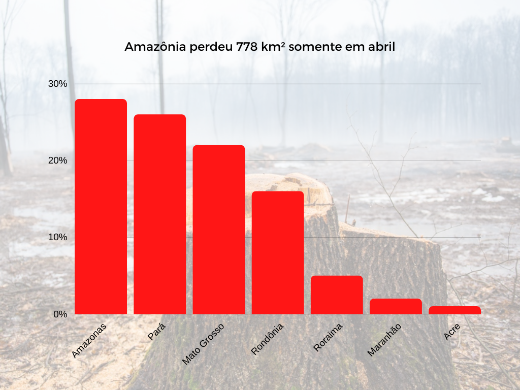 Devastação: Amazônia perdeu 778 km² somente em abril, diz Imazon - News Rondônia