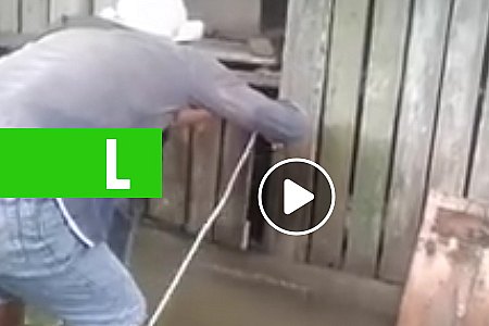 TÁ NA WEB: VEJAM O QUE ELES ENCONTRARAM NO GALINHEIRO - News Rondônia