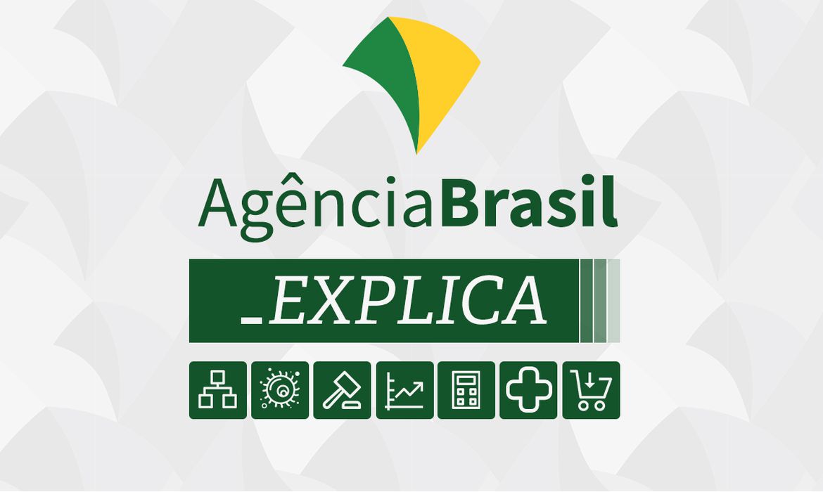 Agência Brasil Explica: como funcionam as pesquisas eleitorais - News Rondônia