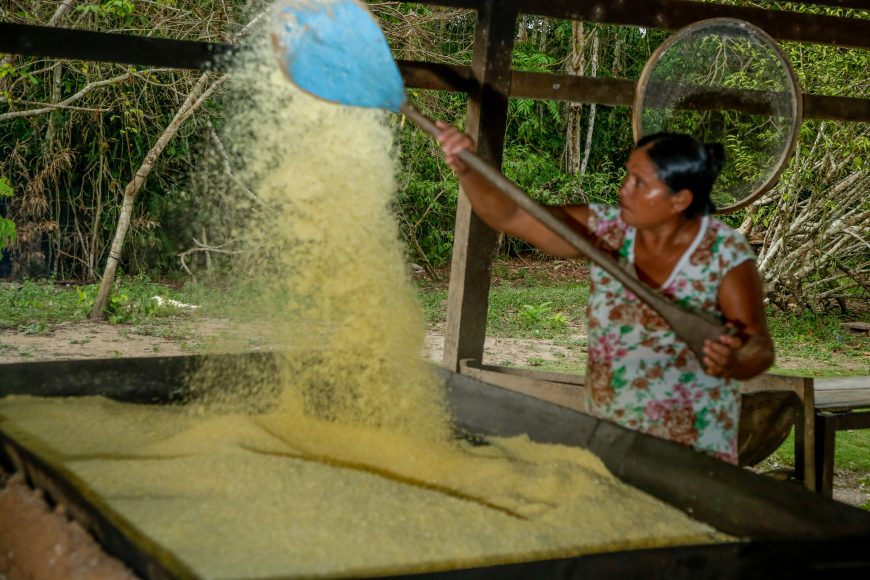 ECONOMIA VERDE - Farinheira preserva a Resex Rio Cautário e é beneficiada com recurso do crédito de carbono - News Rondônia
