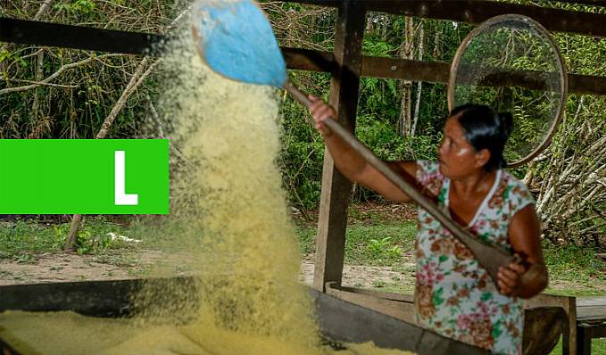 ECONOMIA VERDE - Farinheira preserva a Resex Rio Cautário e é beneficiada com recurso do crédito de carbono - News Rondônia