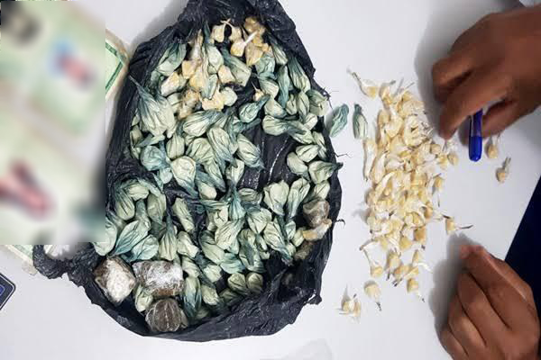 JOVEM É PRESO COMERCIALIZANDO DROGA NO PERÍMETRO ESCOLAR - News Rondônia