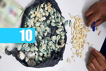 JOVEM É PRESO COMERCIALIZANDO DROGA NO PERÍMETRO ESCOLAR - News Rondônia