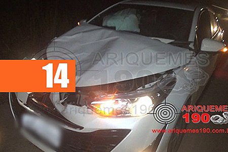 CARRO ATINGE BEZERRO NA RO-257 E DEIXA CONDUTORA FERIDA - News Rondônia