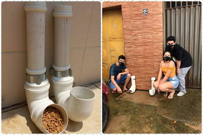 SOLIDARIEDADE: Jovens instalam bebedouro e comedouro para animais gratuitamente na Capital - Por Rayane Trajano - News Rondônia
