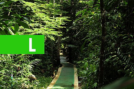 GOVERNO DE RONDÔNIA REGULAMENTA AS REGRAS PARA DISPENSA DE LICENCIAMENTO AMBIENTAL - News Rondônia