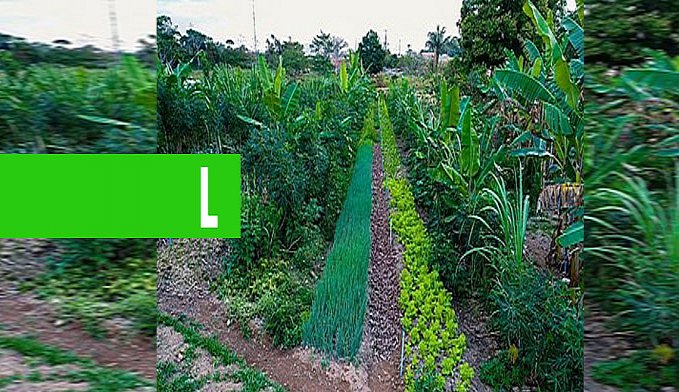 PREFEITURA DE PORTO VELHO VAI CADASTRAR AGRICULTORES AGROECOLÓGICOS - News Rondônia